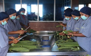 The cutting of vegetables 