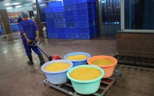 The dal and pulses being transported to be cooked