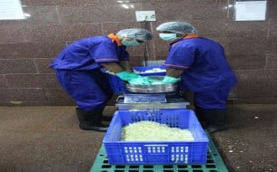 The grinding of the vegetables